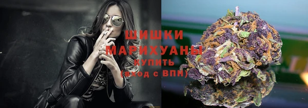 хмурый Магас