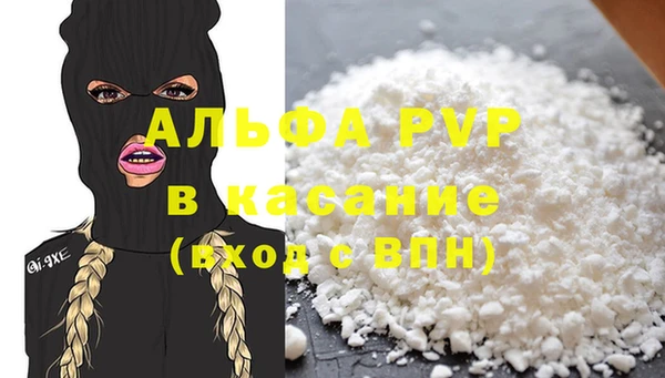 хмурый Магас