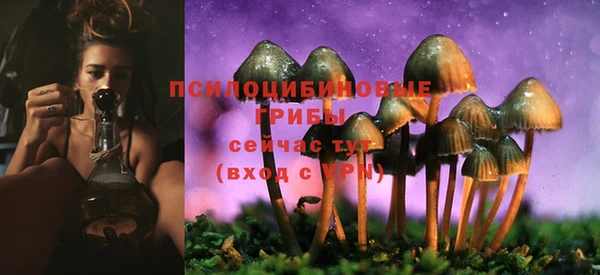 наркотики Карпинск