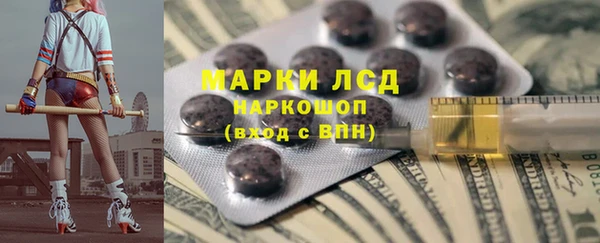 хмурый Магас