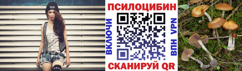 кракен вход  Ульяновск  Псилоцибиновые грибы GOLDEN TEACHER 