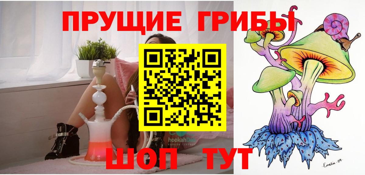 Псилоцибиновые грибы Psilocybe  Вход с VPN  Россия  Псилоцибиновые грибы Magic Shrooms 